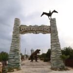 WhatsApp Image 2026-04-02 at 22.30.12