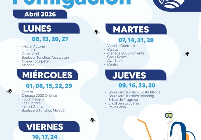 WhatsApp Image 2026-04-03 at 19.33.54