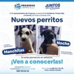 WhatsApp Image 2026-04-06 at 21.50.22