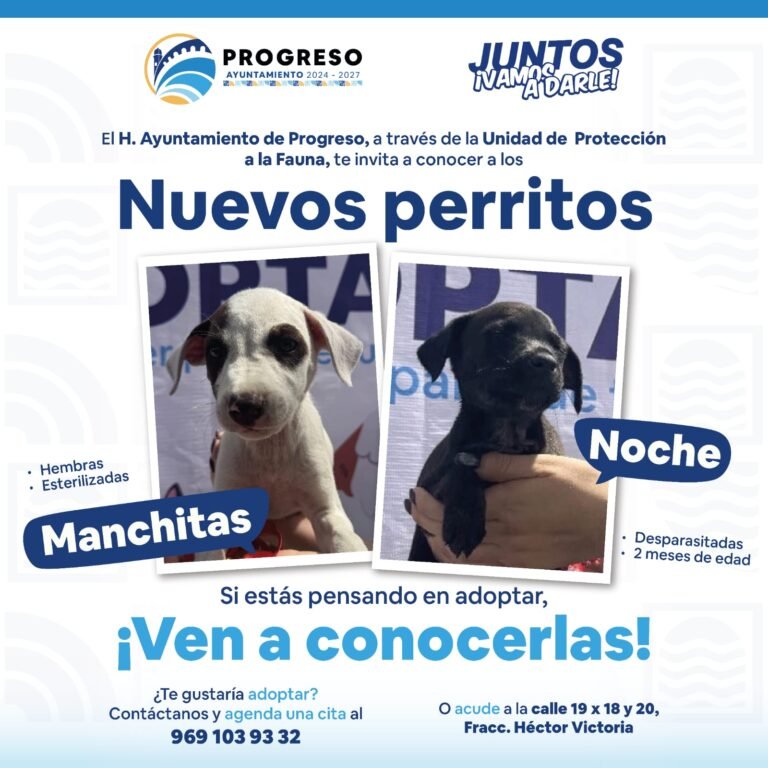 WhatsApp Image 2026-04-06 at 21.50.22