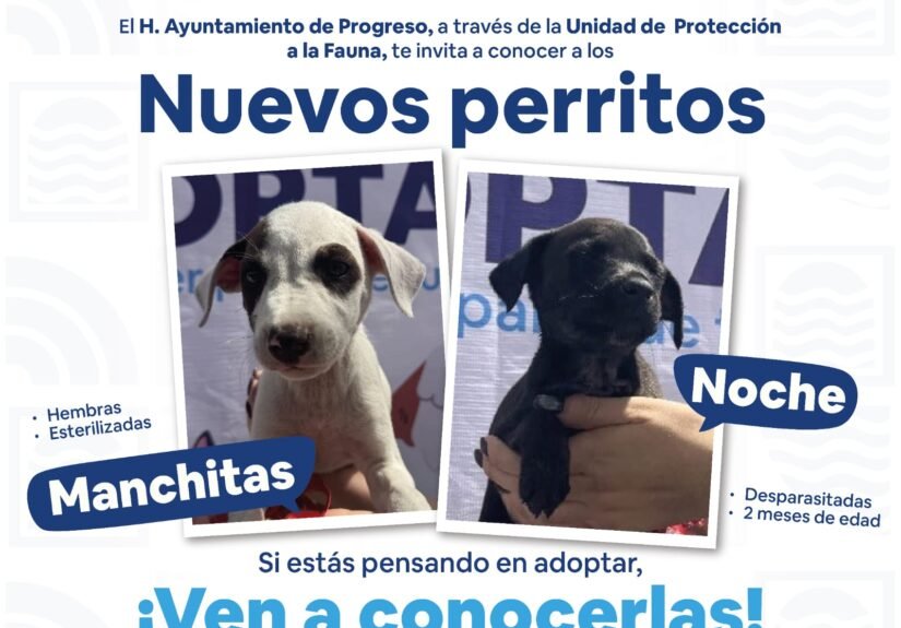 WhatsApp Image 2026-04-06 at 21.50.22