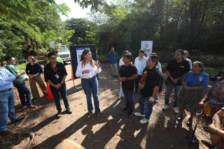 WhatsApp Image 2026-04-11 at 19.58.52