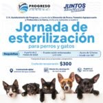 WhatsApp Image 2026-04-17 at 22.19.25