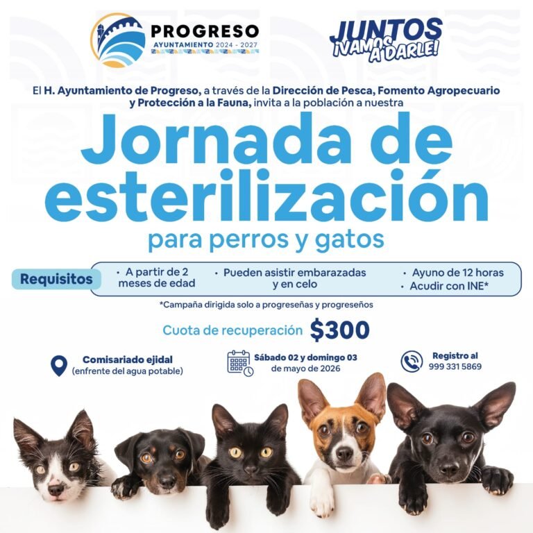 WhatsApp Image 2026-04-17 at 22.19.25