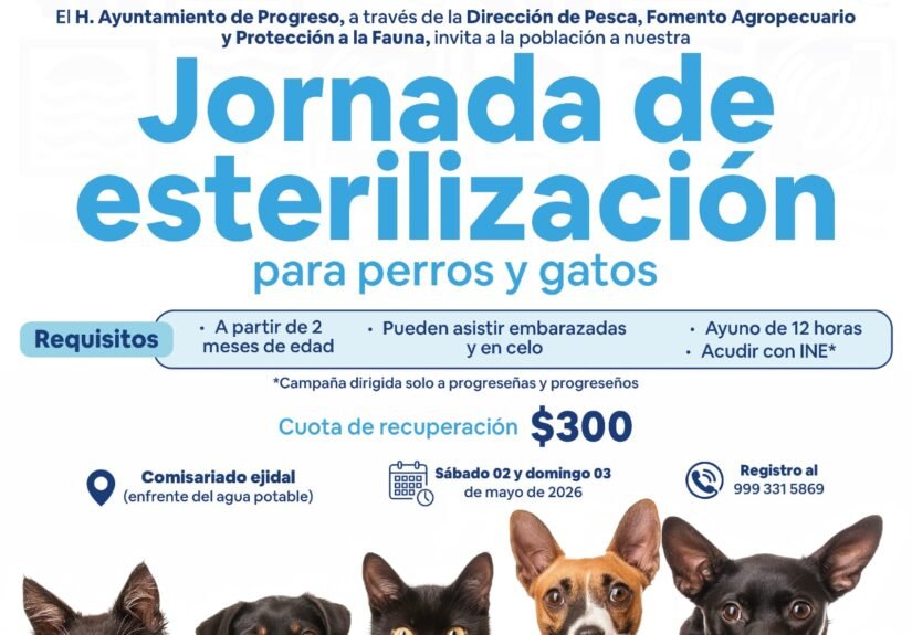 WhatsApp Image 2026-04-17 at 22.19.25