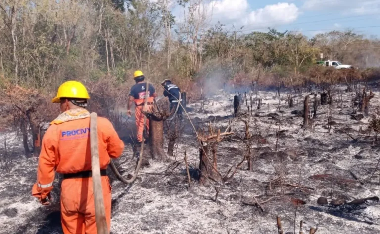 incendios-forestales-