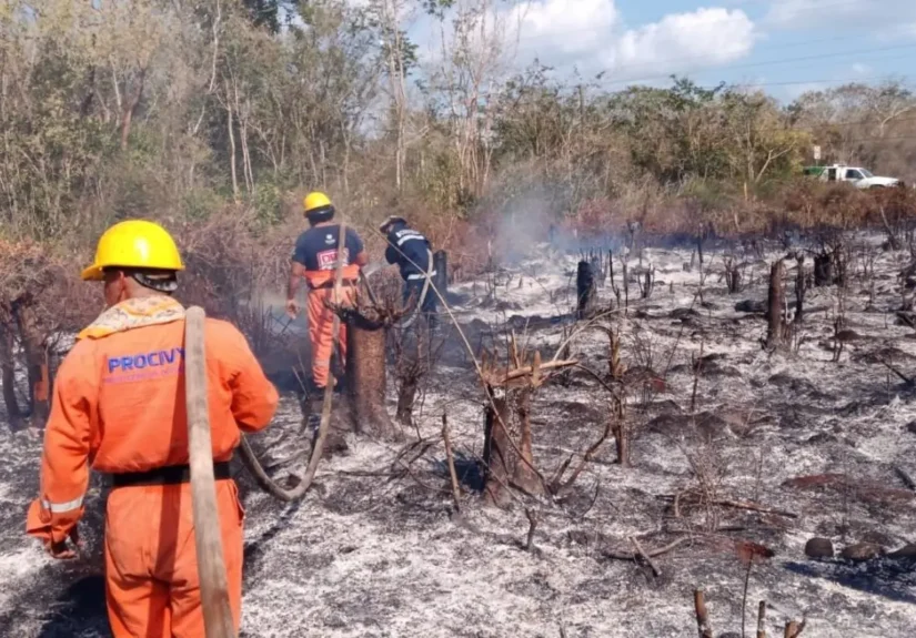 incendios-forestales-