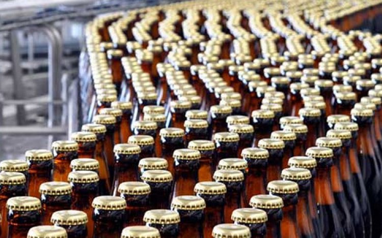 modelo-cervezas1_Ok