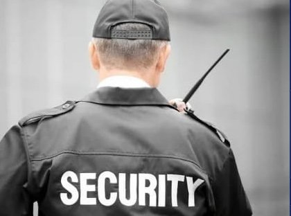 seguridad pri