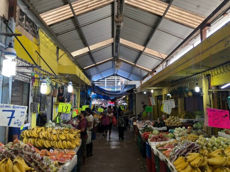 mercado meid2