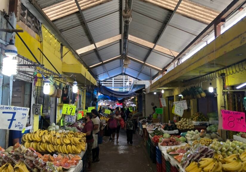 mercado meid2
