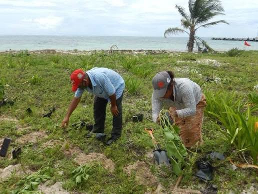 reforesta costas728544140_27258138593828994_9219725806761988368_n.png