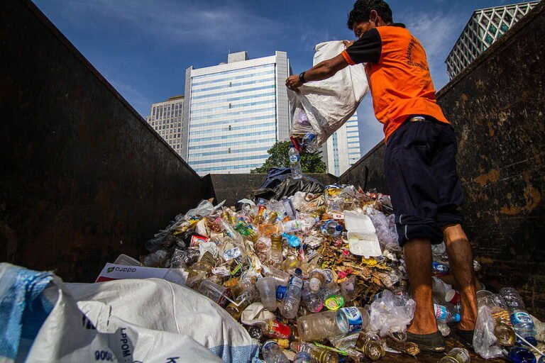 7c9178c2-basura-1024x683
