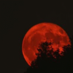 eclipse lunar