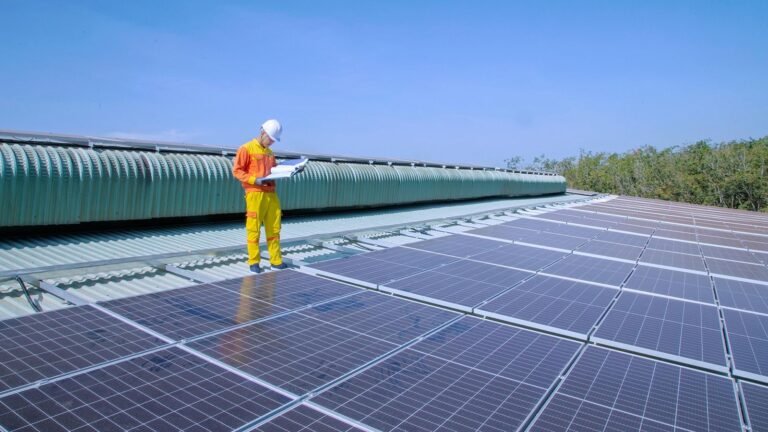 paaneles solares