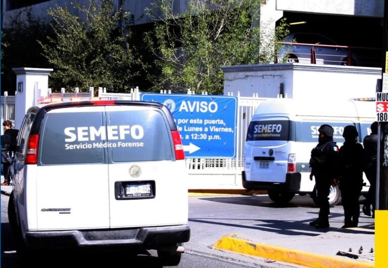 semefo1