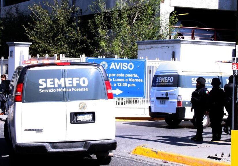 semefo1