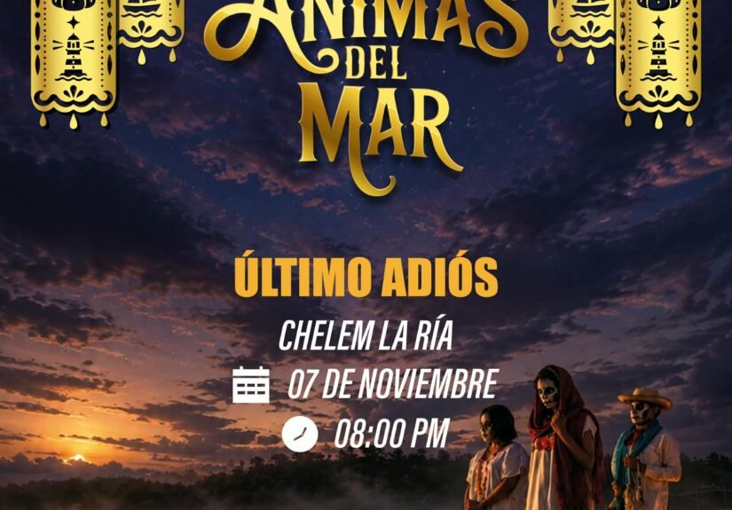Promo Progre1